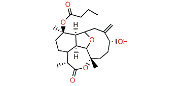 Briarellin D